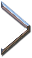 metalgraphic